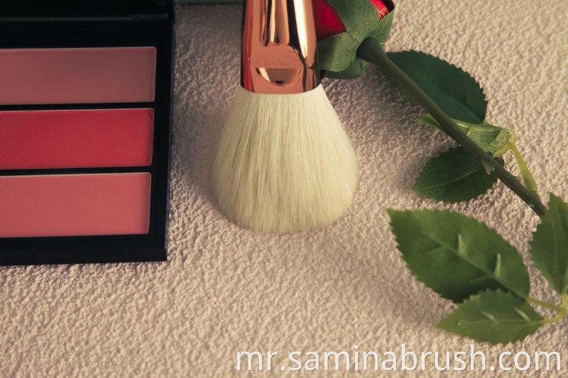 Makeup Brush 3170 01